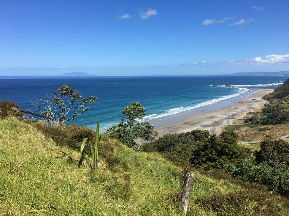 Solo Hiking - Mangawhai NZ