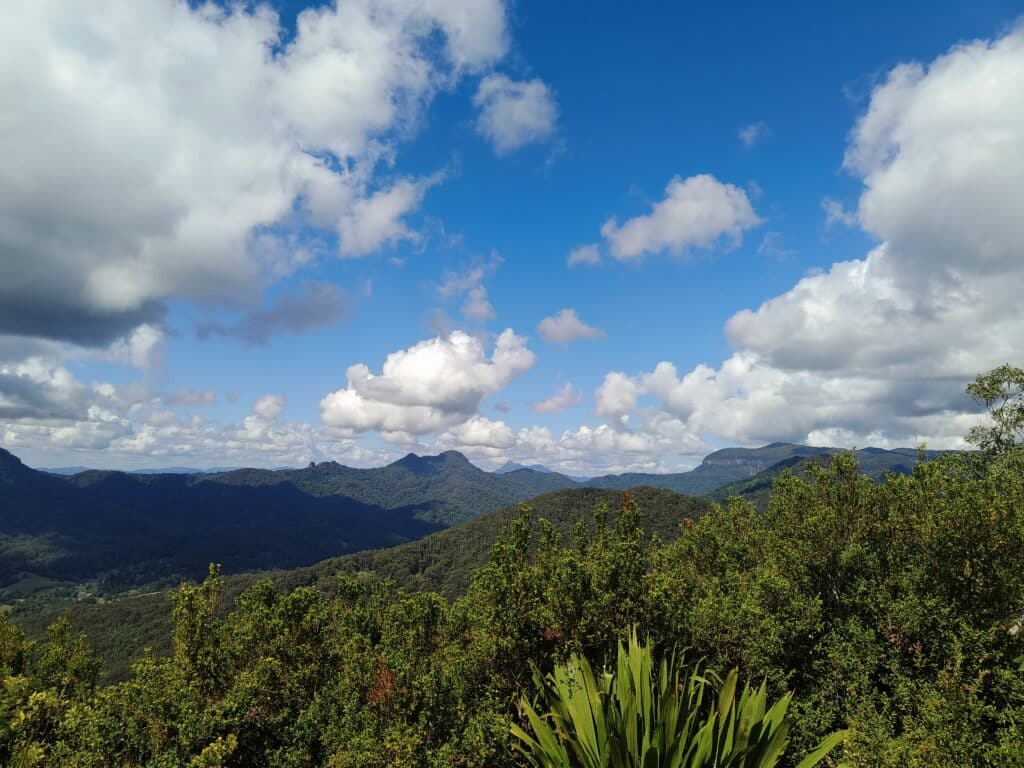 Bally Mountain Gold Coast Hiking