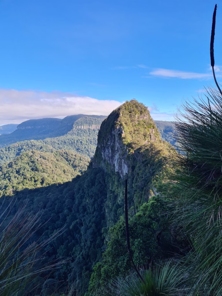 View From Mt Cougal East